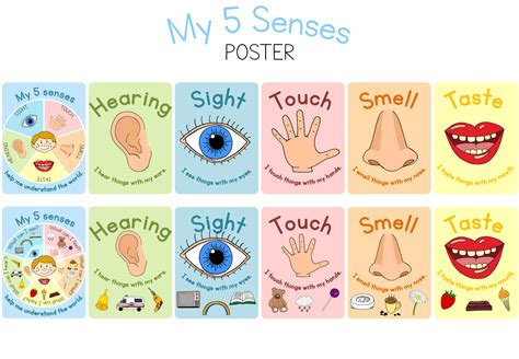 Five Senses Poster Printable